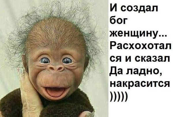 И Бог создал женщину