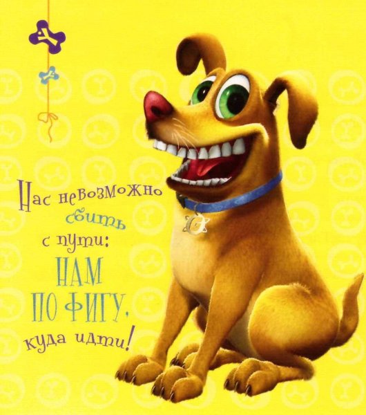 Улыбнись картинки прикольные смешные