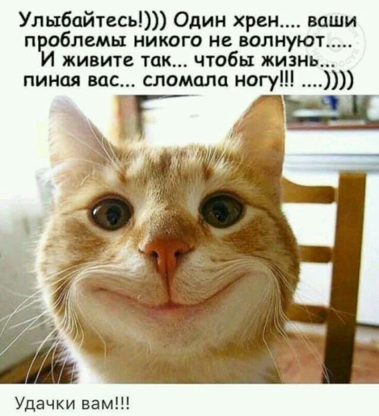 Шутки про улыбку