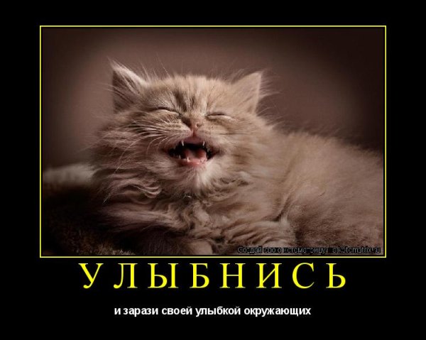 Улыбнись картинки прикольные