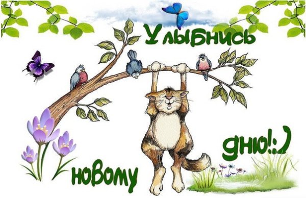 Улыбаемся новому Дню