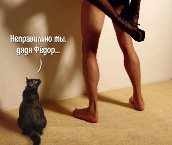 Веселые картинки с юмором и надписями
