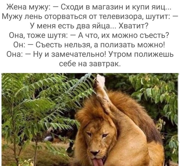Шутки смешные до слез картинки