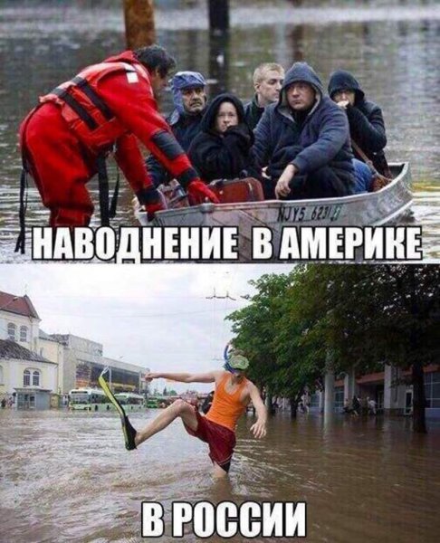 Картинки смешные приколы