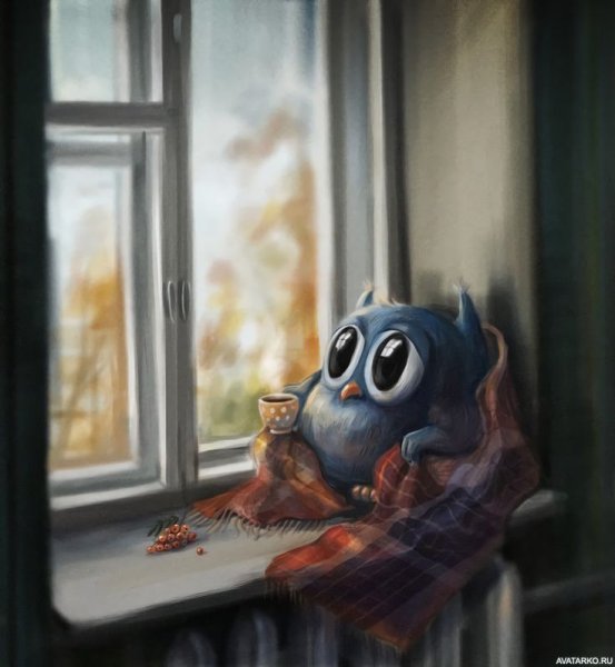 Сова с пледом