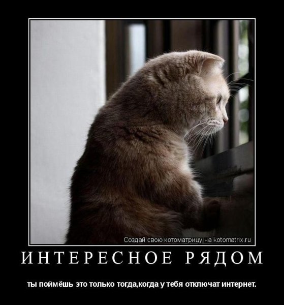 Одиночество прикол