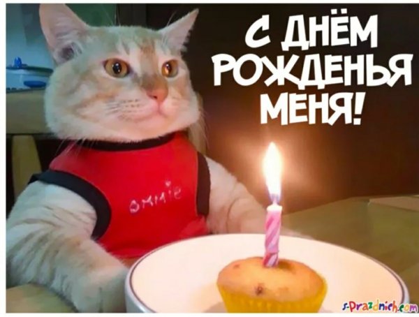 Поздравления с днём рождения себя прикольные