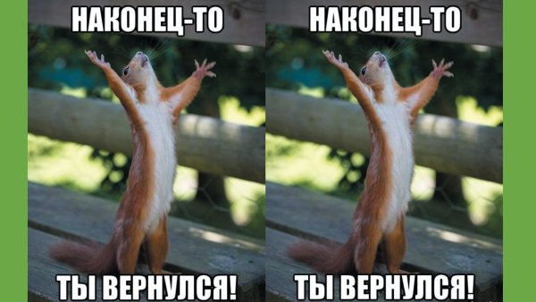 Наконец то ты вернулась