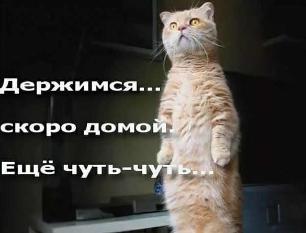 Конец рабочеготдня приколы