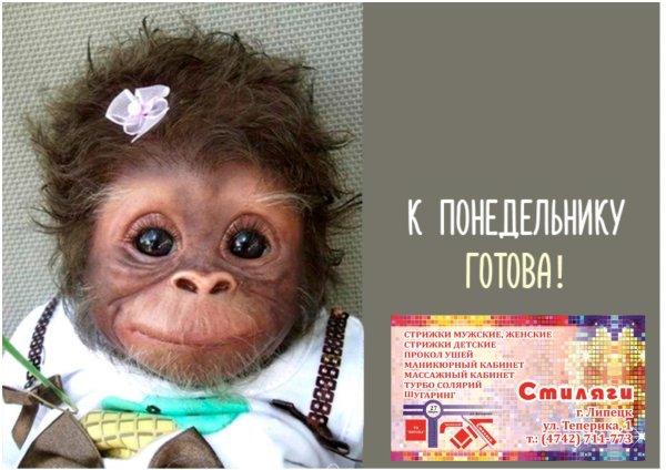 Понедельник приколы
