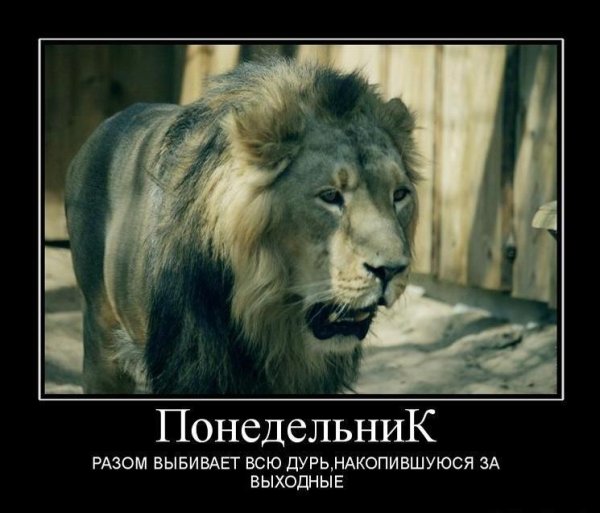 Демотиваторы работа в выходные