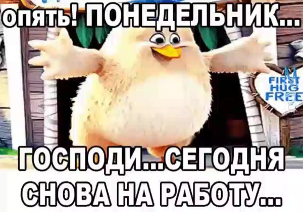 Опять понедельник приколы
