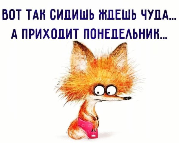 Высказывания про понедельник смешные