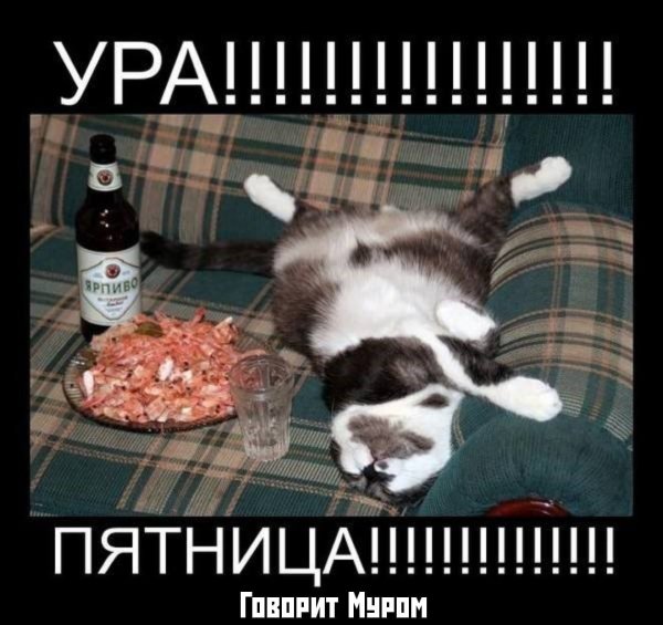 Пятница открытка смешная