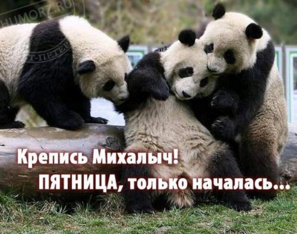 Пятница приколы