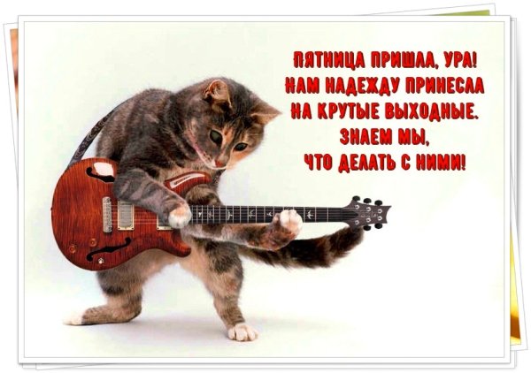 Веселые поздравления с пятницей