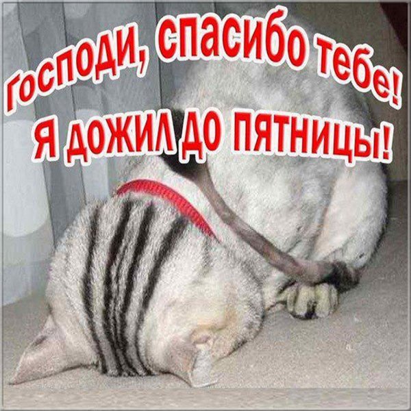 Пятница смешные картинки