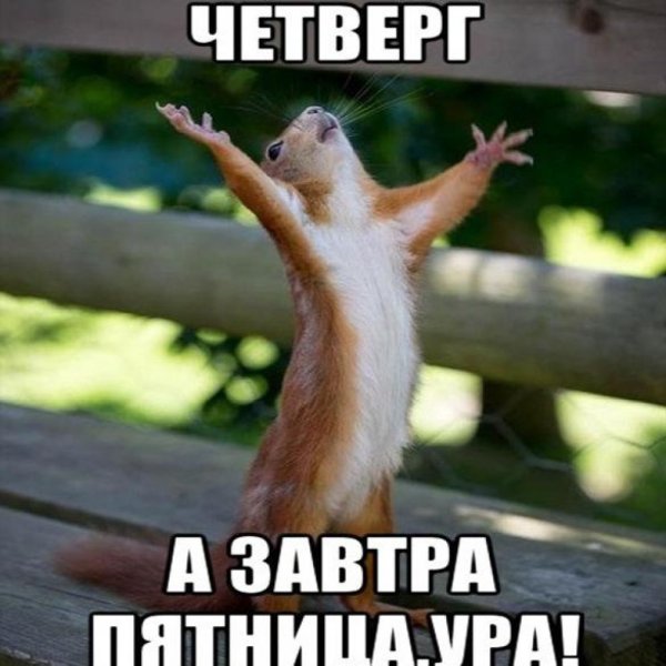Скоро пятница