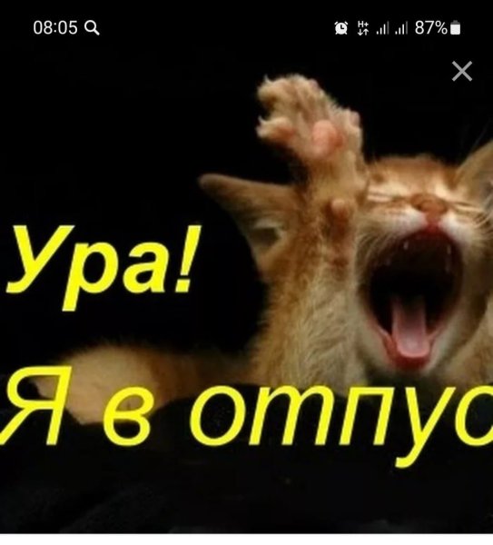 Ура я в отпуске
