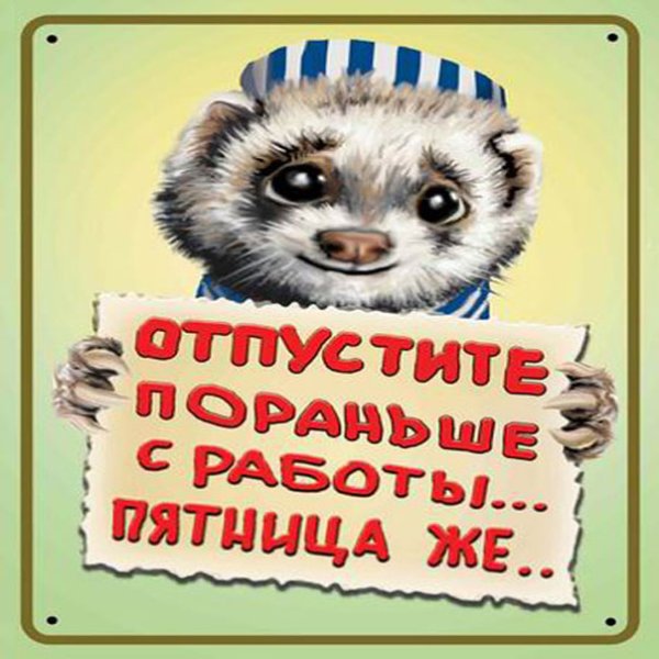 Прикольные картинки про пят