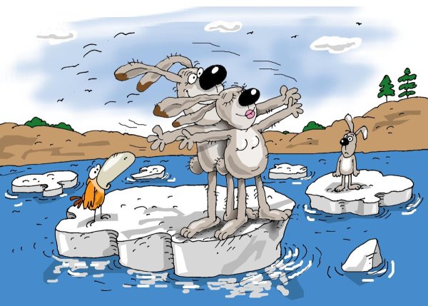 Карикатуры смешные