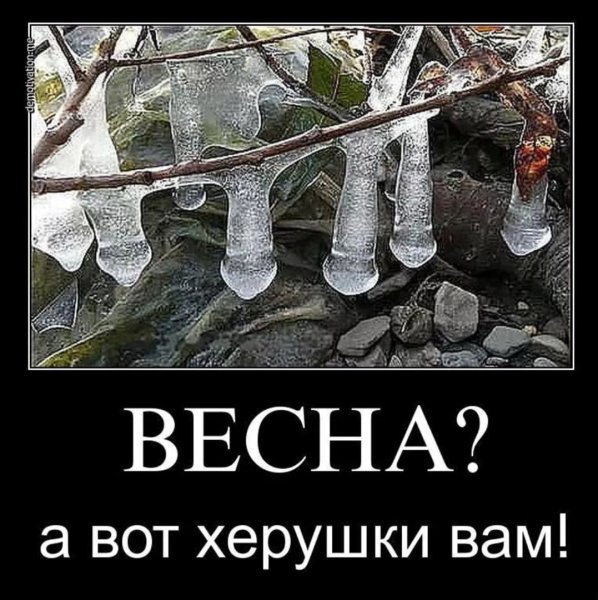 Шутки про весну