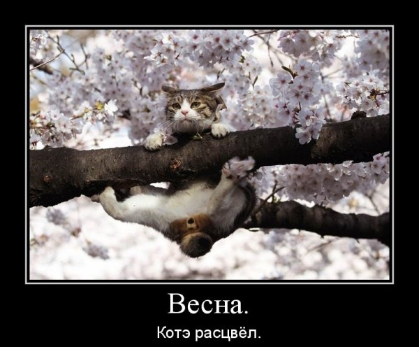 Весна пришла