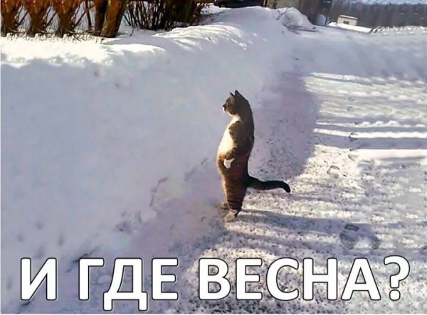 Смешное про весну