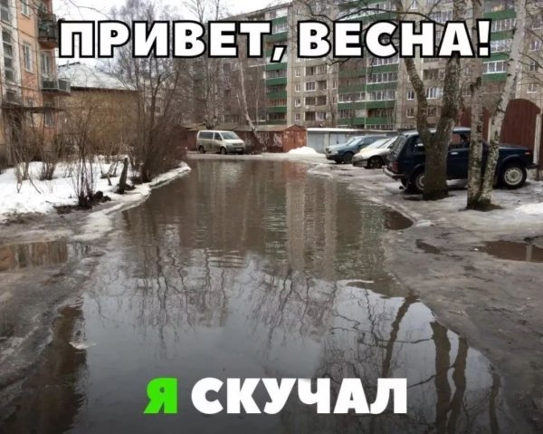 Весна пришла смешные
