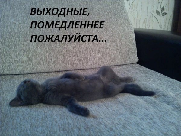 Выходные картинки прикольные
