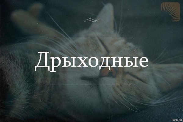 Выходные картинки прикольные