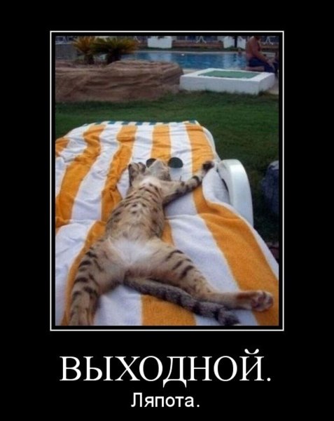 Отпуск наконец то