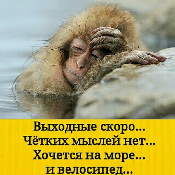 Приколы про выходные