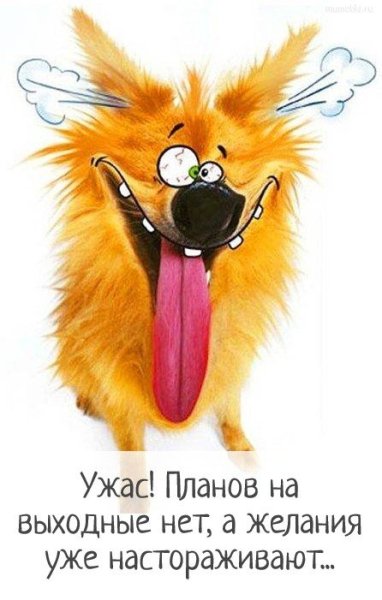 Открытки интересные прикольные