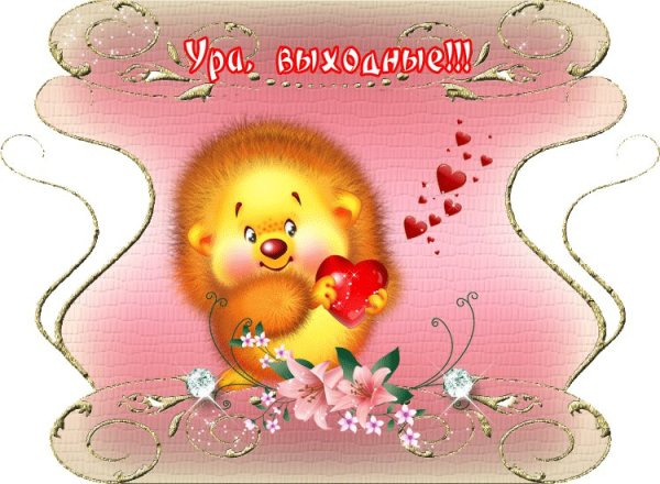 Отличных выходных Ежик