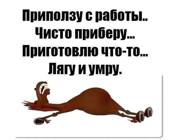 Цитаты про работу смешные