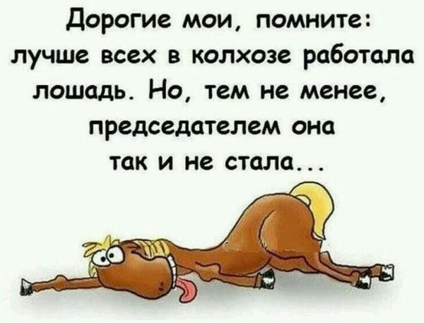 Смешные высказывания