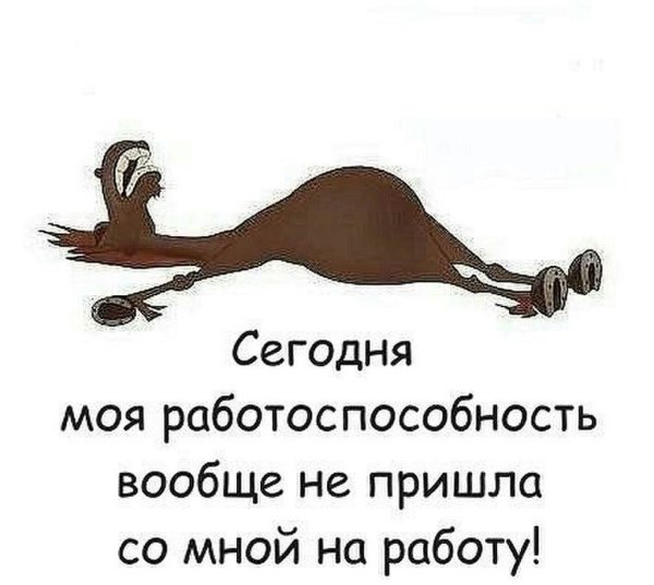 Цитаты про работу смешные