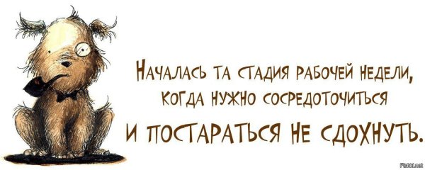 Цитаты про усталость шуточные