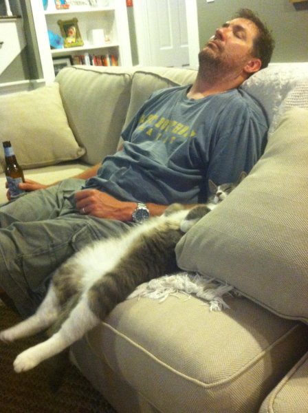 Кот спит