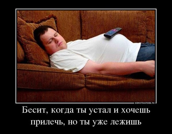 Мужчина на диване приколы