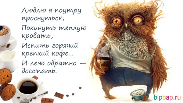Доброе утро смешные картинки