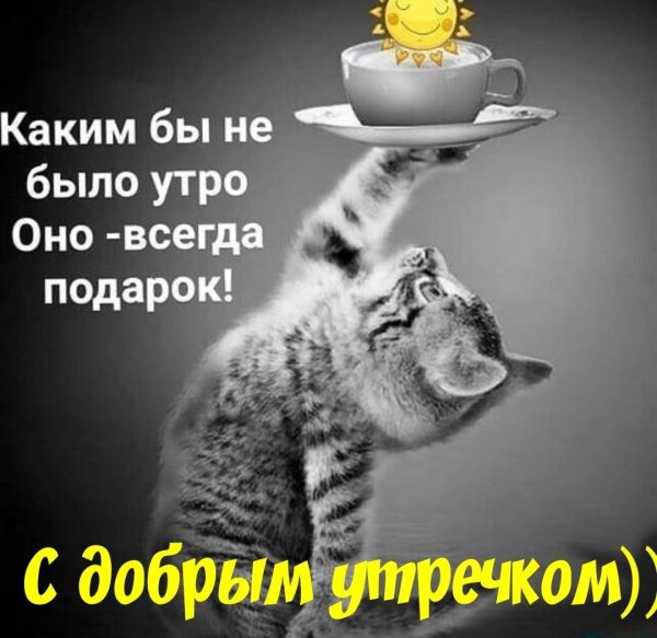 Открытки с добрым утром прикольные