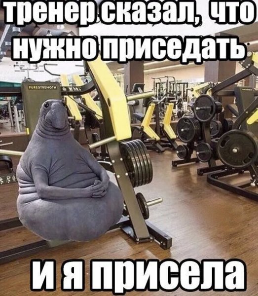 Приколы в тренажерке
