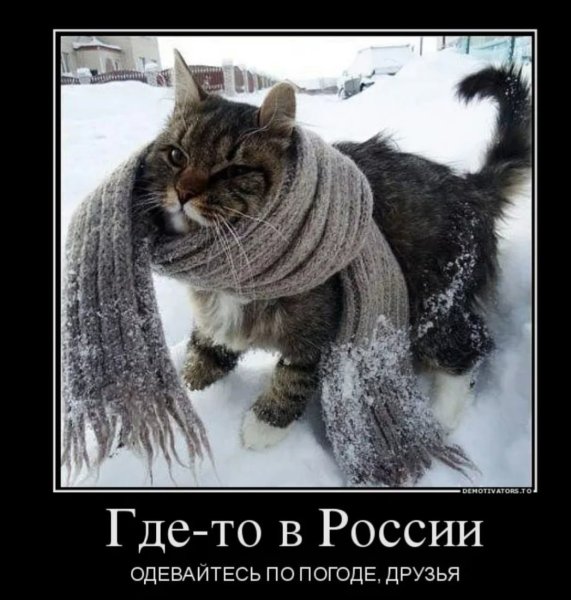 Шутки про холод