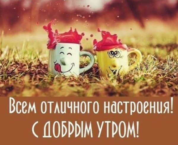 Доброе позитивное утро и хорошего