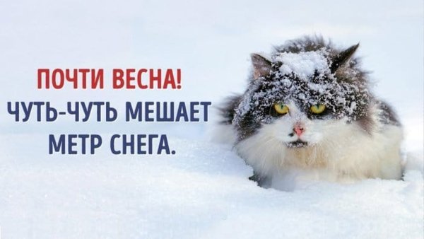 Почти Весна чуть чуть мешает метр снега