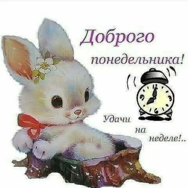 Доброго понедельника