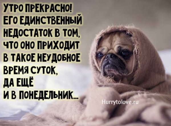 Открытки с понедельником прикольные