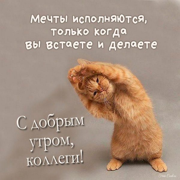 Пожелания с добрым утром прикольные